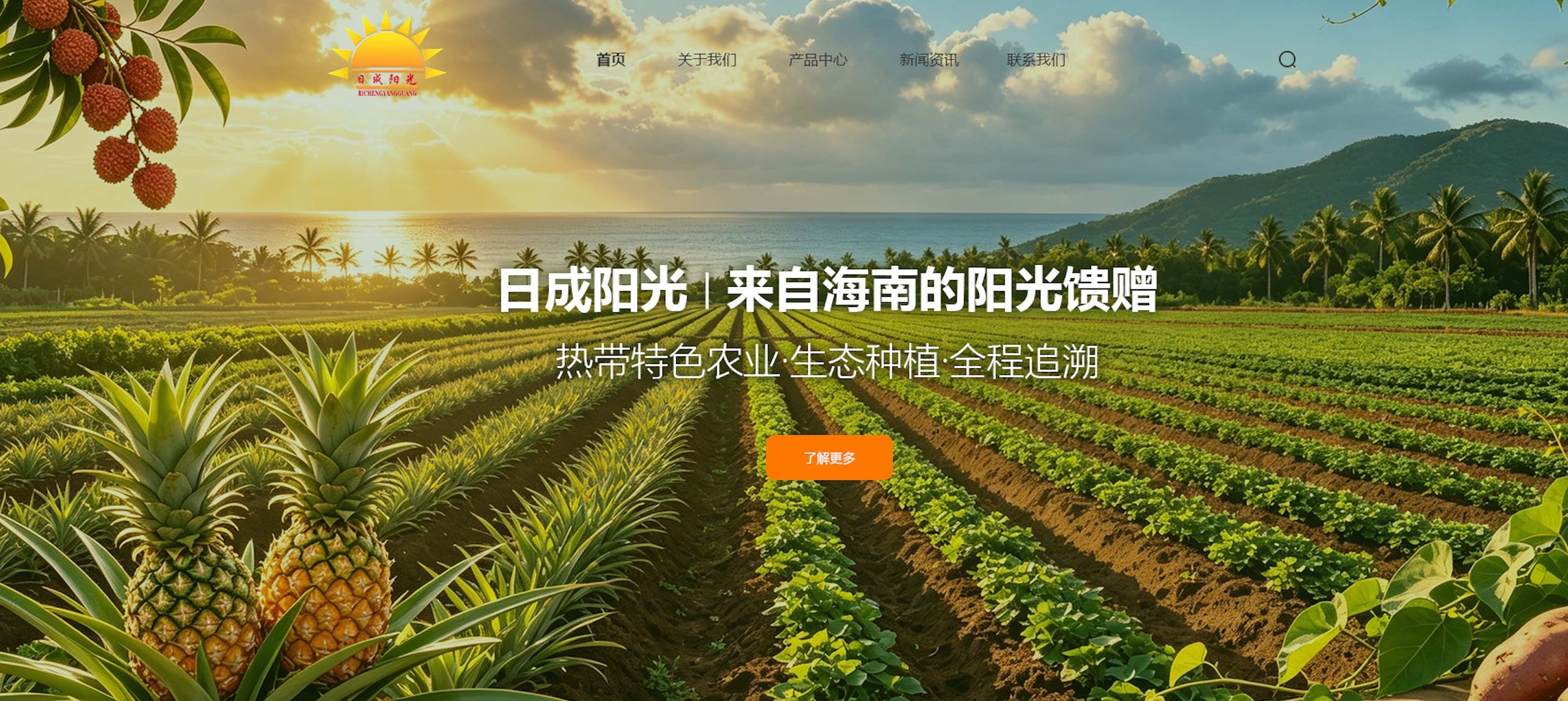 日成阳光